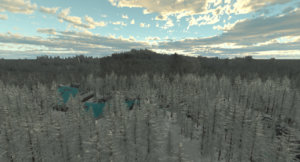 Rallysnow6.jpg