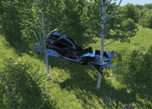 cr1.png