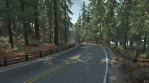 redwood_after.jpg