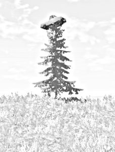 20161225102932_1.jpg