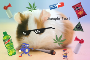 mlg.png
