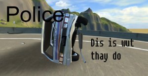 meme.jpg