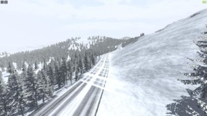 hemlock1.jpg