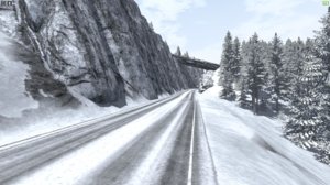 hemlock3.jpg