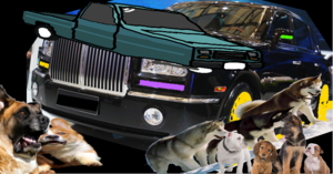yeysfafqhvipaztvway1.png