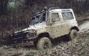 LR903.JPG