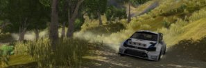 polo drift with dust.jpg