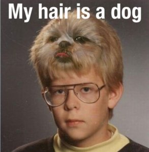 mahdog.jpg
