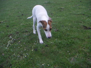 PICT0072.JPG