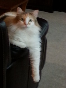 20130915_091839.jpg