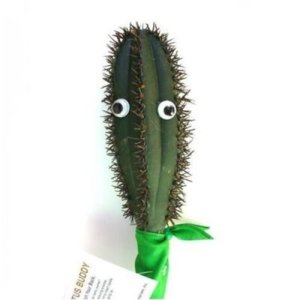 cactusman.jpg