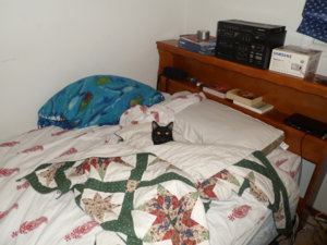 SAM_0173.JPG