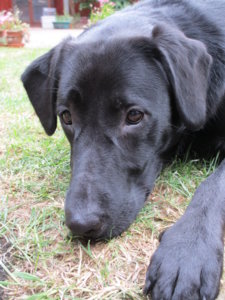 0045.Maggie.JPG
