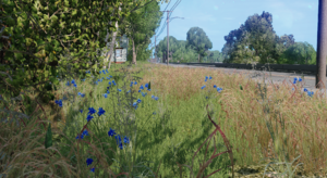 screenshot_01875.png