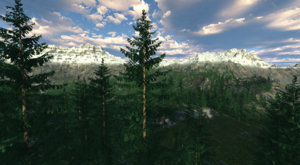ForesthillsA.jpeg