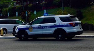hawaiicars4.jpg