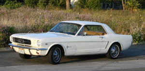muuuuuuuuuustang.jpg