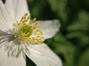IMG_20170409_153336.jpg