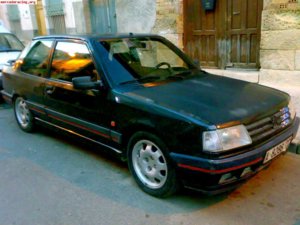 peugeot-309-gti-fase-ll-1000.jpg