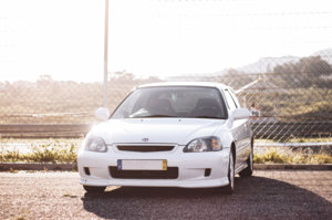 _MG_2425.jpg