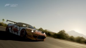 ForzaHorizon389.jpg
