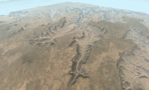a11.jpg