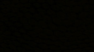 black16.jpg