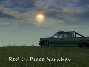 narwhal.png