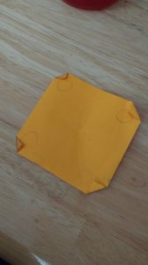 IMG_20170512_150300057.jpg