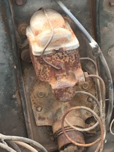 IMG_0528.jpg