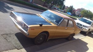 DSC_1127.jpg