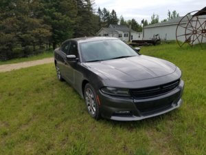 20170528_102608.jpg