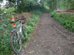 IMG_20170531_210429.jpg