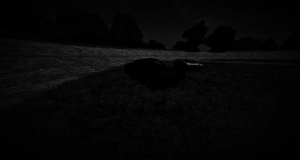 screenshot_00301.png