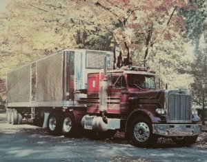 Peterbilt359.jpg