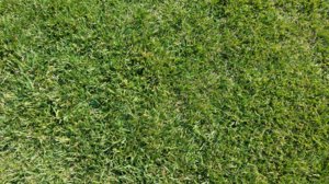 20160821_163658.jpg