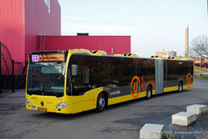 BusBus.jpg