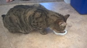WP_20170705_09_29_38_Pro.jpg