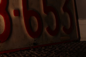 IMG_8491.jpg