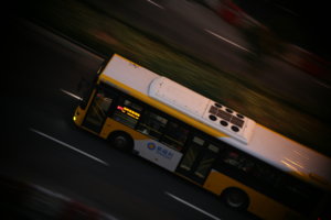 IMG_9908.jpg