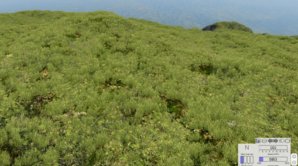 BeamNG.jpg