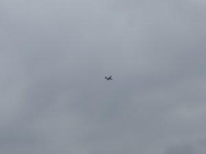 IMG_20170719_180357.jpg