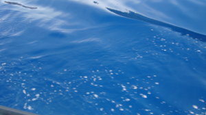 DSC04182.jpg