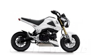 91d1369532757-grom-streetfighter-grom_duke.jpg