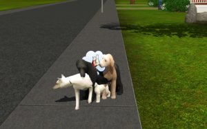 Screenshot-110.jpg