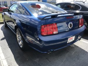 IMG_8290.jpg