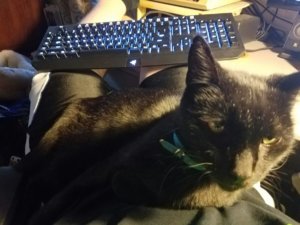 FAE8AA175821CB8C11FC74D079A6F1B47CB9C154CE23C3C223pimgpsh_fullsize_distr.jpg