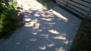 WP_20170821_10_28_34_Pro.jpg