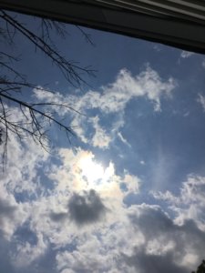 IMG_3600.jpg