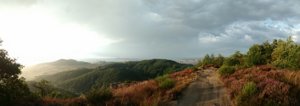 IMG_20170825_075812947.jpg